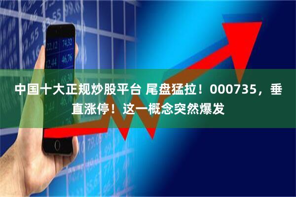 中国十大正规炒股平台 尾盘猛拉！000735，垂直涨停！这一概念突然爆发
